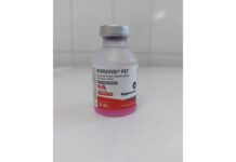 Falta de vacina antirrábica suspende vacinação de rotina em cães e gatos em São João da Boa Vista