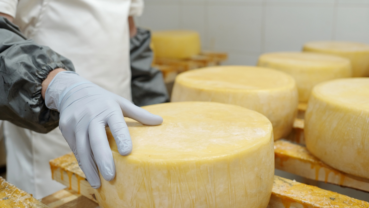 Imagem de Queijarias de São João podem representar o município no Mundial do Queijo 2026 em São Paulo