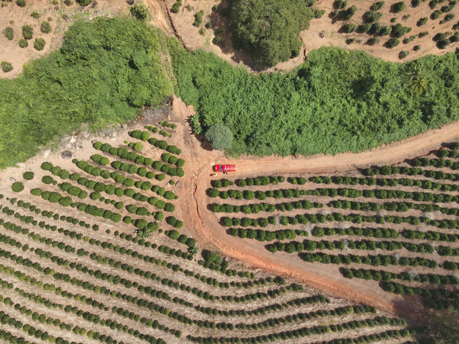Imagem de Desaparecida desde sexta, Regina Helena Vieira de Souza Marques é encontrada morta em Campestre-MG