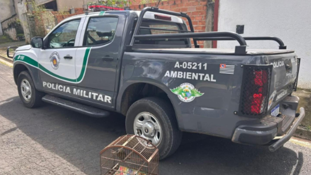 Imagem de Morador de São João da Boa Vista é multado por manter ave silvestre em cativeiro irregular